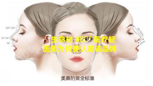 生命树 🌲 医疗轻医美为何要认准该品牌